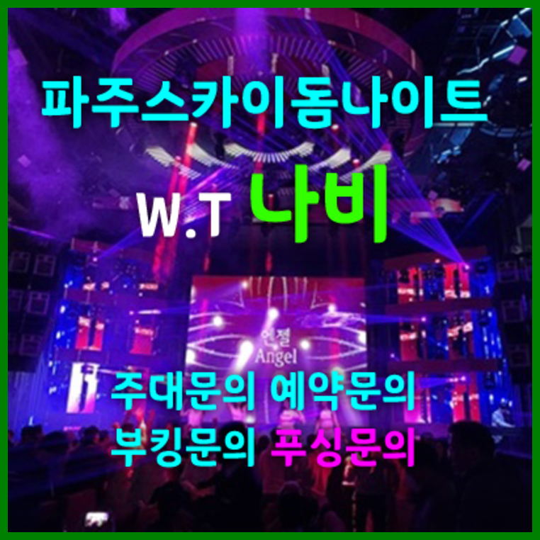 스카이돔나이트