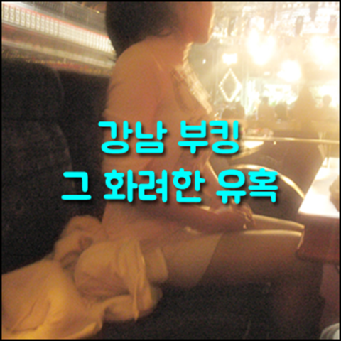 서울나이트1 강호동@